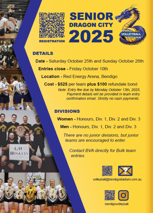 BVA Senior Dragon 2025 flyer small